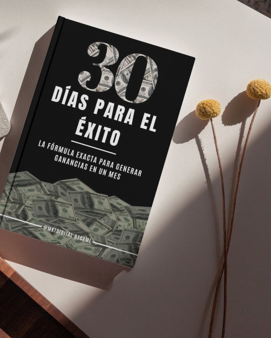 30 Días para el éxito: 30 Días para Monetizar tu Instagram