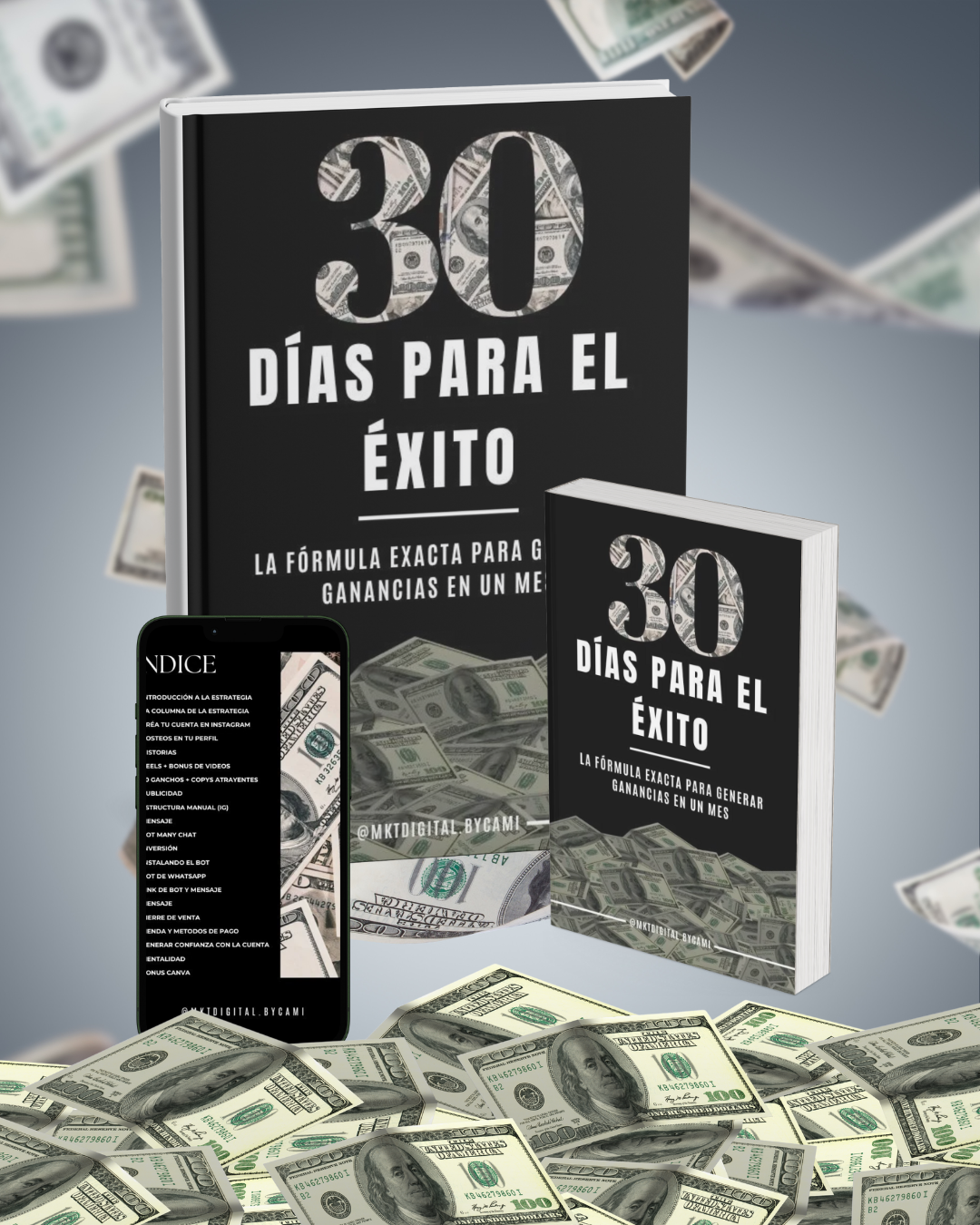 30 Días para el éxito: 30 Días para Monetizar tu Instagram